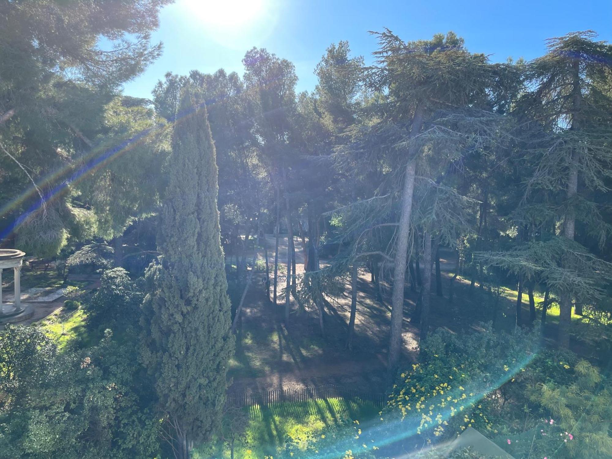 Bandol - Plage De Renecros Exteriör bild